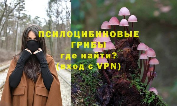кокаин премиум Богданович
