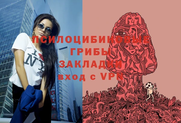 амф Богородск