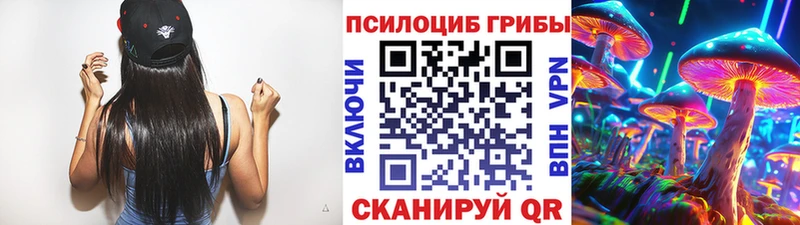 Псилоцибиновые грибы Psilocybe  hydra рабочий сайт  Котельниково 